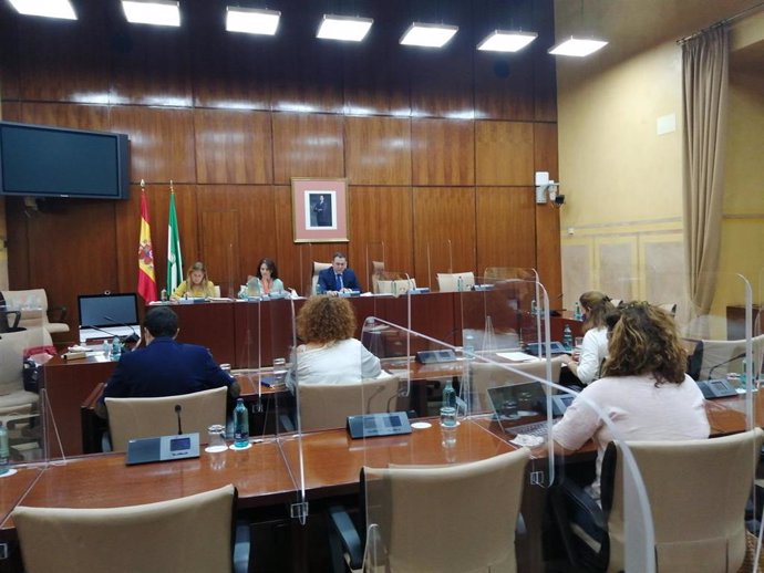 Imagen de la comparecencia este martes en el Parlamento de Andalucía de la presidenta del Sector de Educación de CSIF Andalucía, Elena García.