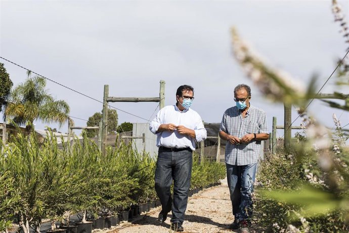 Vídeo de la noticia