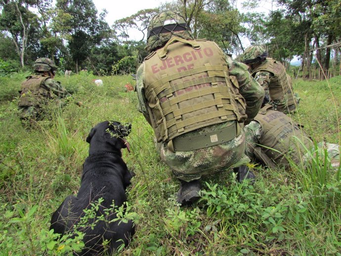 AMP.- Colombia.- Mueren cuatro militares en un ataque cuando erradicaban cultivo