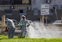 El virus del Nilo mantiene 15 hospitalizados en Sevilla, cuatro de ellos en UCI