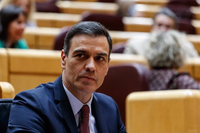El presidente del Gobierno, Pedro Sánchez, en un pleno del Senado