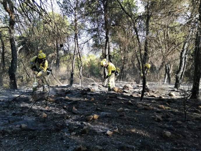 Imágenes del trabajo de las brigadas forestales y del Puesto de Mando Avanzado de la Dirección General del Medio Natural, hoy, en el lugar del incendio (Fotos facilitadas por la DGMN)