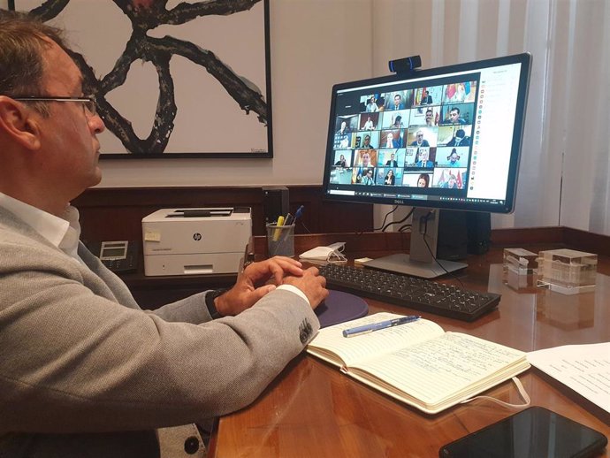 El alcalde de Santa Cruz de Tenerife, José Manuel Bermúdez, en una reunión telemática de la FEMP