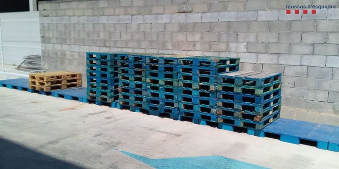 Los Mossos d'Esquadra detienen a siete personas por sustraer 57 palés a una empresa de Olrdola (Barcelona).