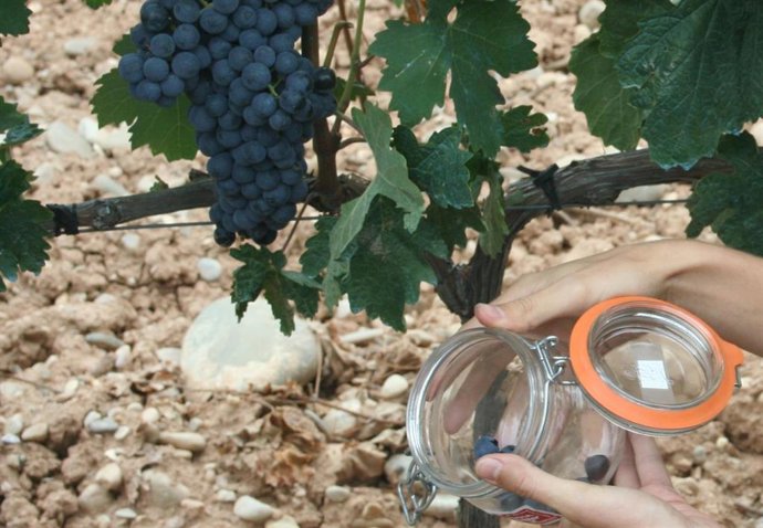Toma de muestras en Rioja