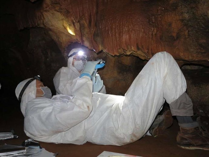 Investigadores trabajando en la Cueva de Maltravieso de Cáceres