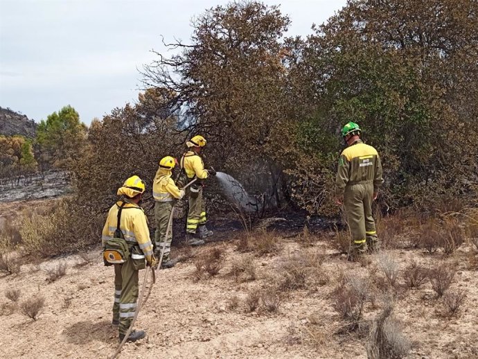Efectivos del Plan Infomur continúan trabajando en la extinción declarado el pasado sábado en la Sierra de la Silla