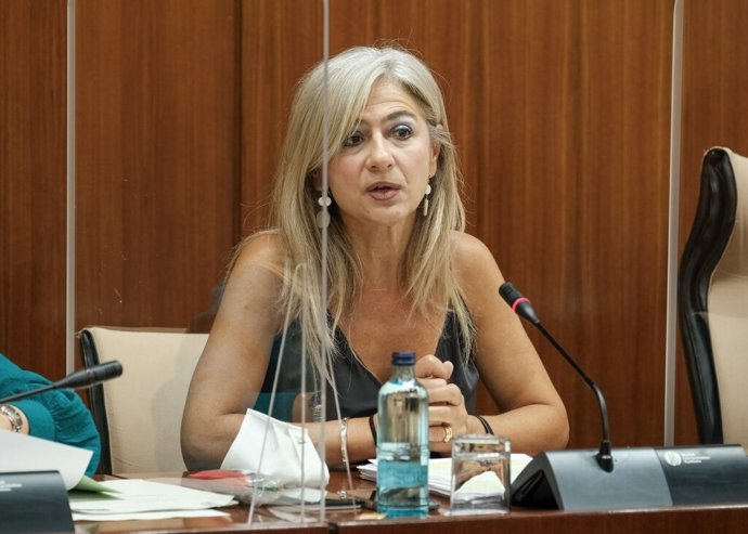La consejera Patricia del Pozo en la Comisión de Cultura en el Parlamento