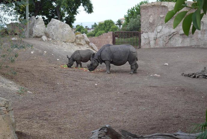 La pequeña Duna disfruta del menú especial por su primer cumpleaños.