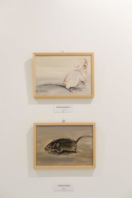 Obra de Ana Canteras