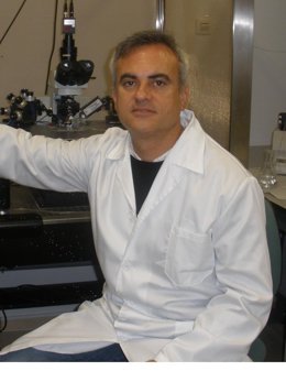 Antonio Rodríguez-Moreno, investigador de la UPO