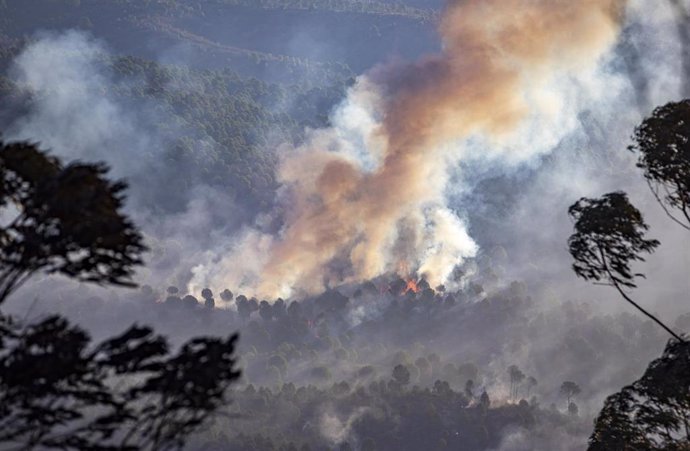 Imagen del incendio forestal declarado el pasado jueves en el paraje de Olivargas de Almonaster la Real (Huelva).