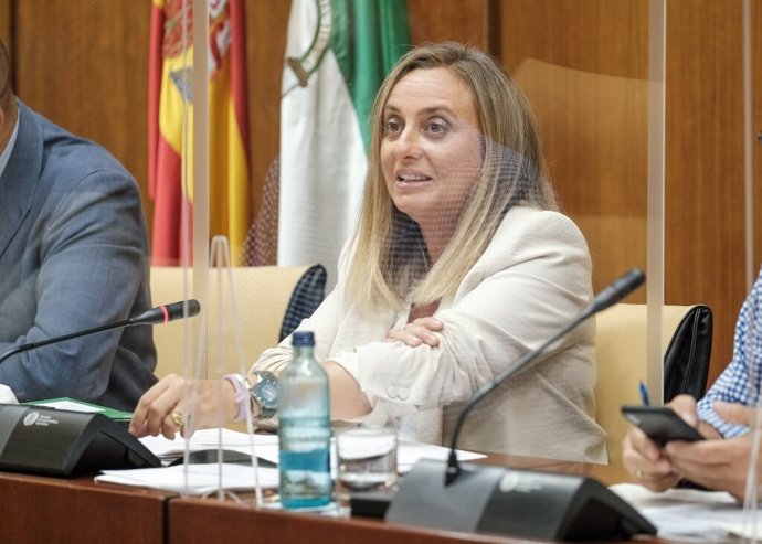 La consejera de Fomento, Marifrán Carazo, este miércoles durante su comparecencia parlamentaria en comisión.