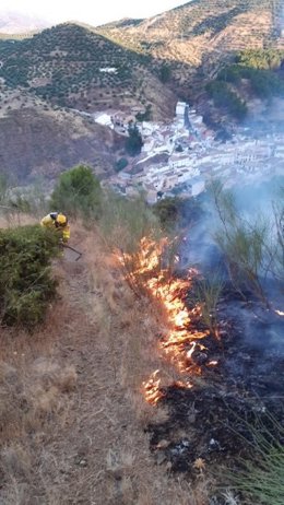 Incendio forestal en el paraje Monte Torrecilla, de Cambil.