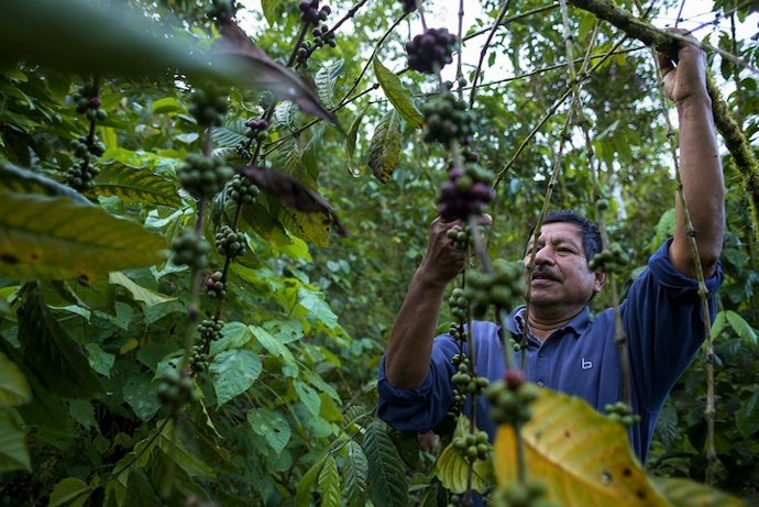 Para materializar esta segunda compensación, el equipo de EthicH