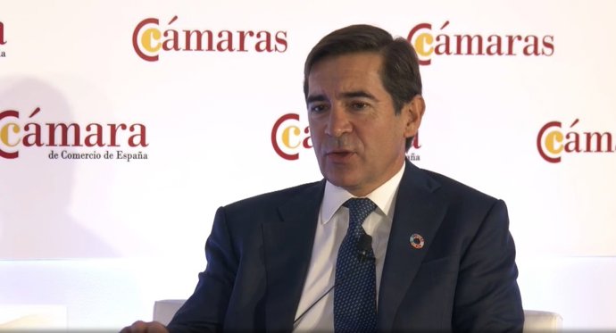 El presidente de BBVA, Carlos Torres, en el pleno extraordinario 'Recuperación y reconstrucción de la economía española: desafíos y prioridades' organizado por la Cámara de Comercio de España.