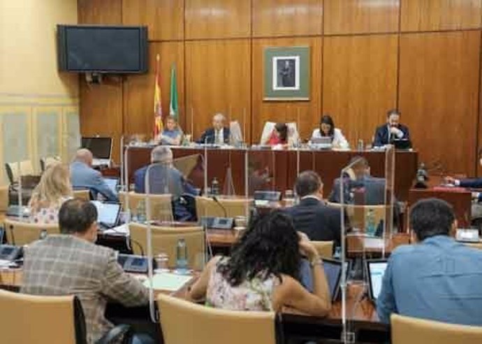 Imagen de este jueves de la Comisión de Economía del Parlamento de Andalucía.
