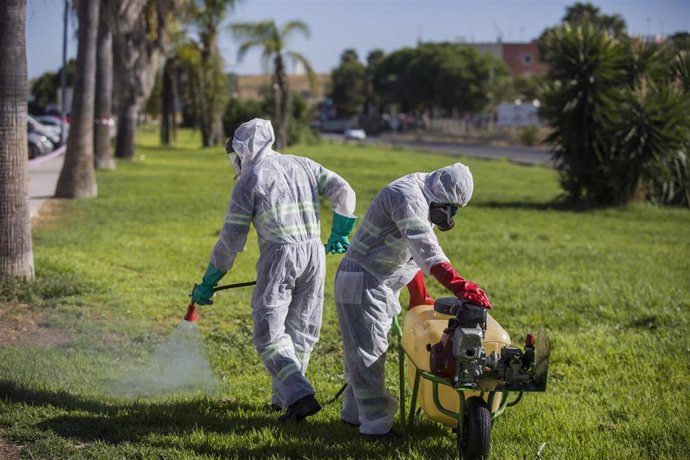 Un trabajador durante las labores de fumigación contra los mosquitos causantes del virus del Nilo en Coria del Río, (Sevilla, Andalucía, España), a  17 de agosto de 2020.
