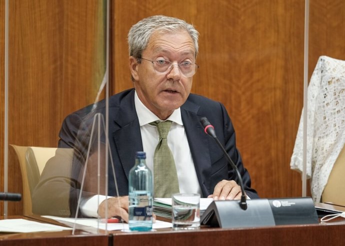 El consejero de Economía, Rogelio Velasco, este jueves durante su comparecencia parlamentaria en comisión.