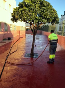Operario trabaja en el plan especial de limpieza viaria y de espacios públicos de Estepona