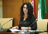 Andalucía realizará en septiembre una nueva inspección "extraordinaria" en residencias públicas de mayores