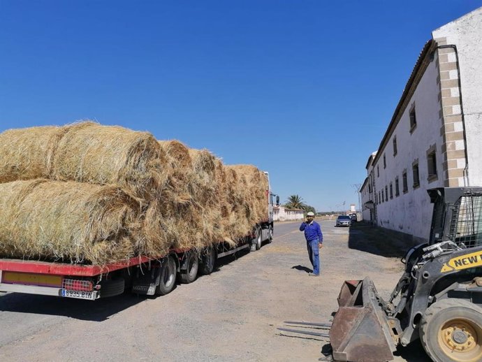 La Diputación de Cáceres entrega pacas de heno a los ganaderos afectados por los incendios del norte de la provincia