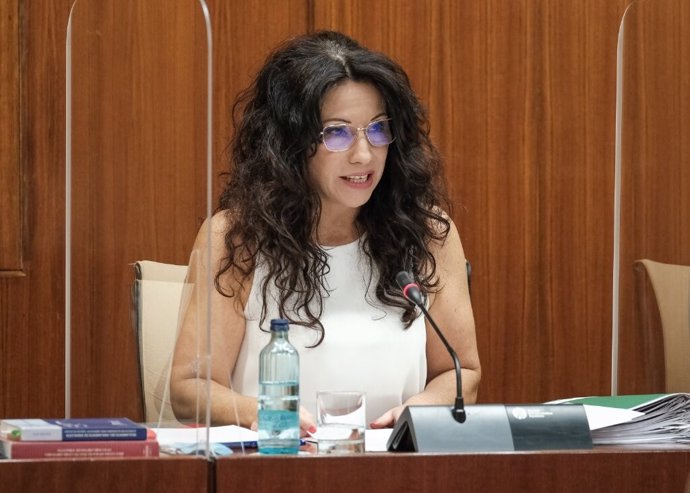 La consejera de Igualdad, Rocío Ruiz, en comisión parlamentaria