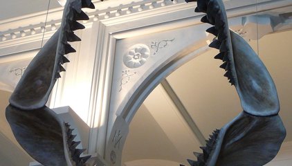 Revelado el verdadero tamaño del Megalodón prehistórico