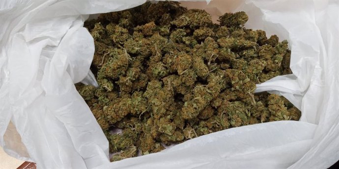 Marihuana intervenida por la Policía Local de Sanlúcar