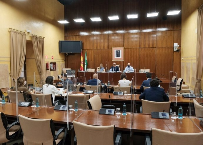 Sesión de la comisión de estudio para la recuperación de Andalucía constituida en el Parlamento de Andalucía.