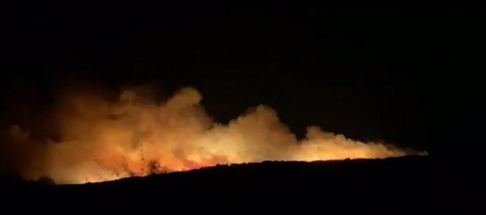 Incendio forestal en Manilva (Málaga)