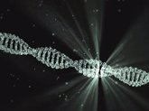 Foto: CSIC descifra la estructura de la proteína clave que repara daños del ADN por radiaciones ultravioleta o quimioterapia
