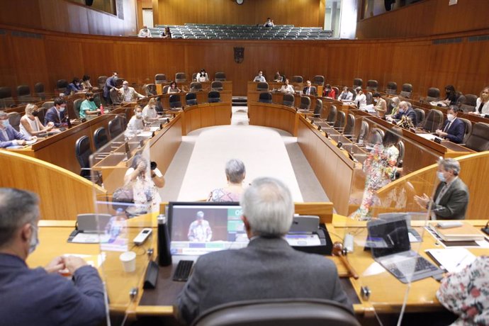 Sesión del pleno de las Cortes este viernes.