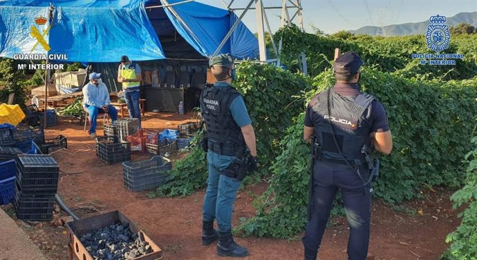 Imagen de la operación