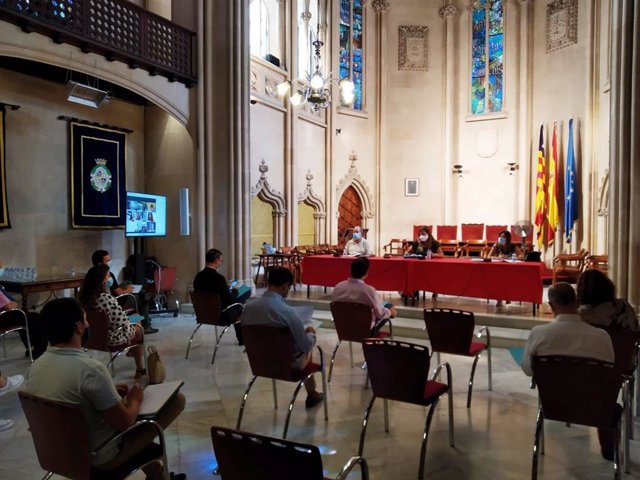 Reunión entre alcaldes de municipios de Baleares y la Conselleria de Salud y Consumo.