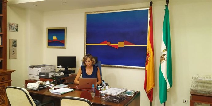 La delegada territorial de Educación, Deporte, Igualdad, Políticas Sociales y Conciliación de la Junta de Andalucía en Córdoba, Inmaculada Troncoso, durante la reunión telemática con las mancomunidades