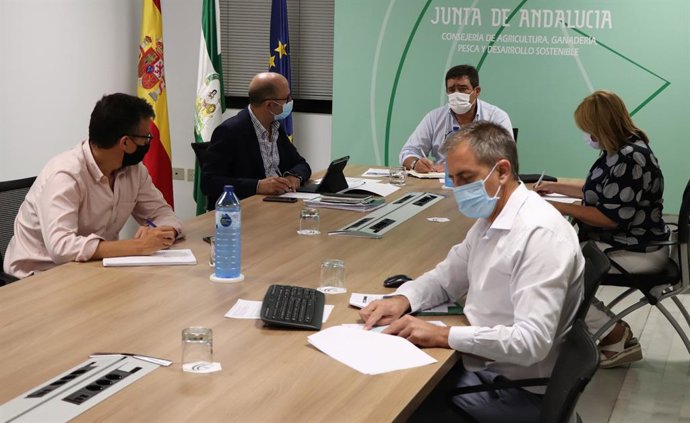 La producción de algodón andaluz rondará las 192.400 toneladas en la próxima cam