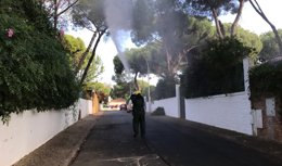 Labores de fumigación en Alcalá