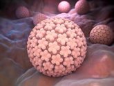 Foto: Los 5 virus más conocidos que pueden dar lugar a cáncer