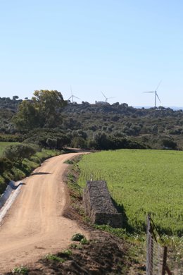 Cádiz.- Comienzan este lunes las obras de segunda fase de la Puerta Verde en Chi