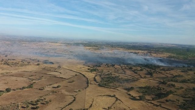 Incendio en Trabazos (Salamanca).