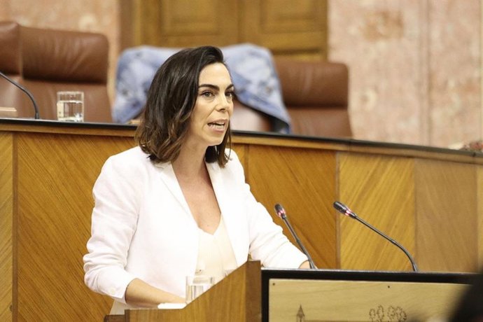 El Parlamento aprueba por unanimidad una PNL de Cs que pide la regulación normativa del Tercer Sector en Andalucía