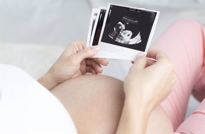 Embrión, embarazo