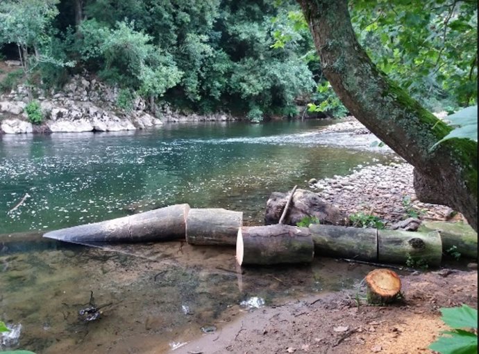Trabajos de la CHC en el Saja