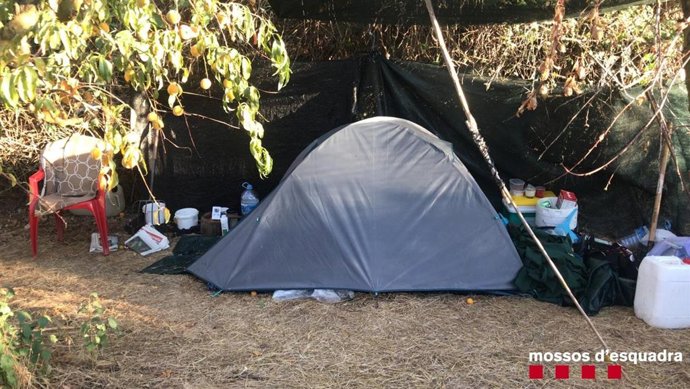 Sucesos.- Dos detenidos en Aitona (Lleida) por cultivar marihuana escondida entr