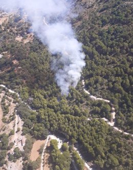 Incendio forestal declarado en Casares