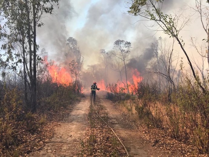 Uno de los efectivos del Consorcio Provincial de Bomberos de Huelva actúan en el incendio forestal declarado en Almonaster la Real (Huelva).