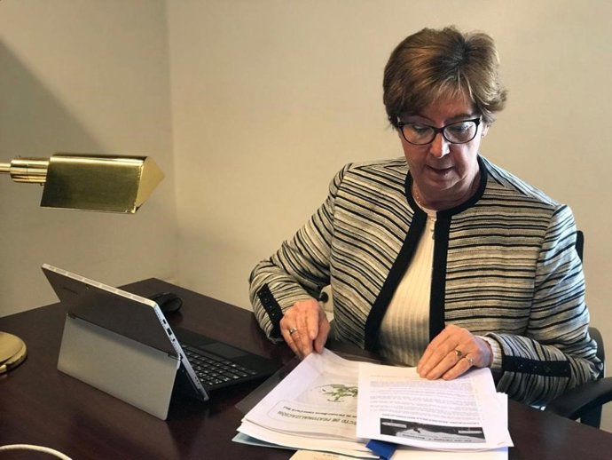 Parlamentaria de Vox en Andalucía Ana Gil