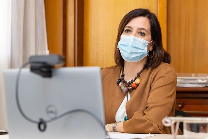 La vicealcaldesa de Zaragoza, Sara Fernández, en videoconferencia