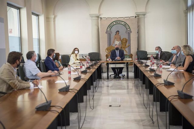 Creada la comisión de expertos que hará seguimiento a tiempo real de la incidencia del Covid-19 en las aulas granadinas